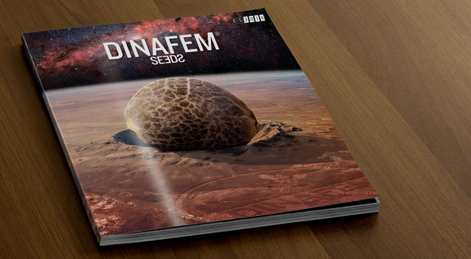 Dinafem Catálogo 2014