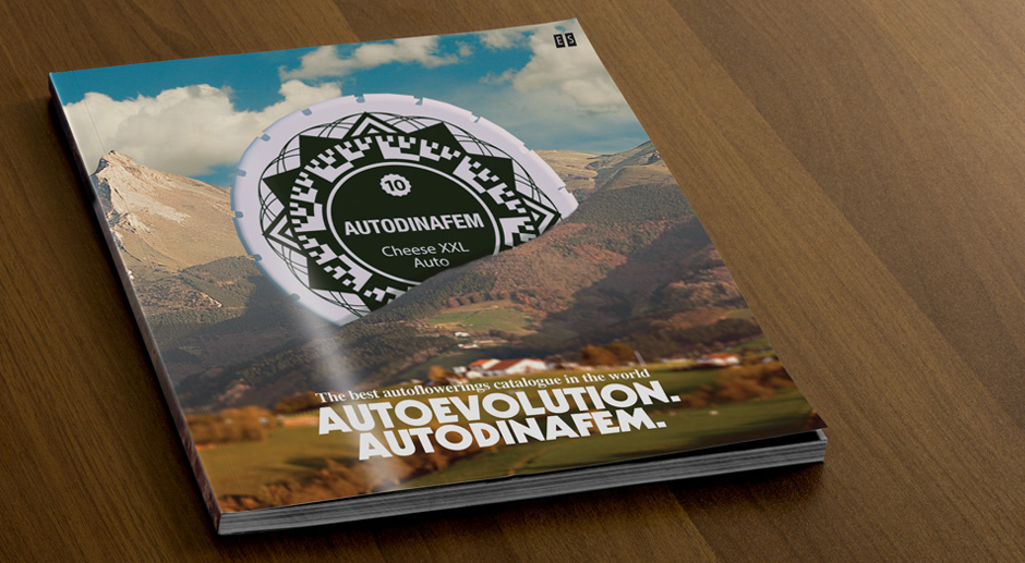 Autodinafem Catálogo 2014