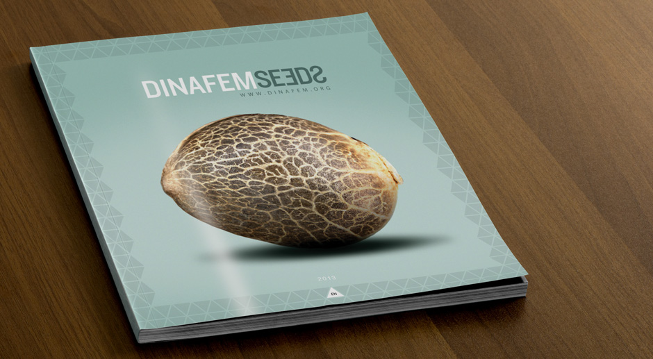 Dinafem Catálogo 2013